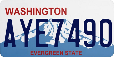 WA license plate AYE7490