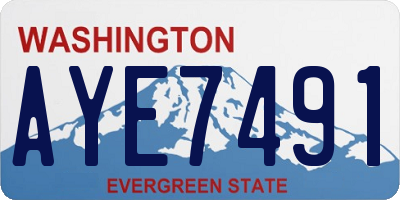 WA license plate AYE7491