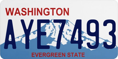 WA license plate AYE7493