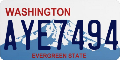 WA license plate AYE7494