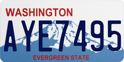 WA license plate AYE7495