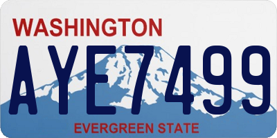 WA license plate AYE7499