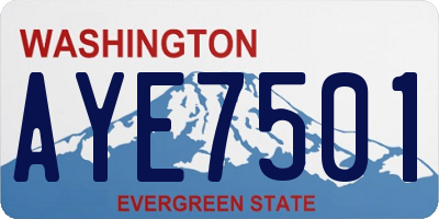 WA license plate AYE7501