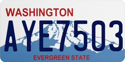WA license plate AYE7503