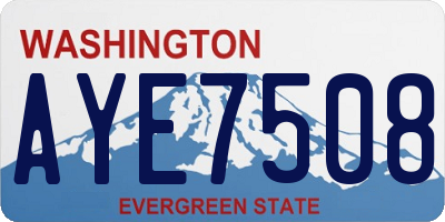 WA license plate AYE7508