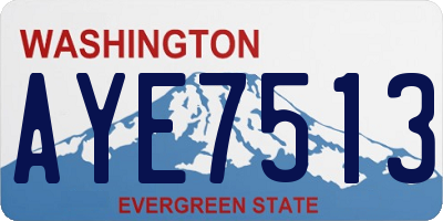 WA license plate AYE7513