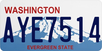 WA license plate AYE7514