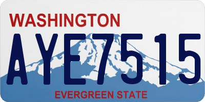 WA license plate AYE7515