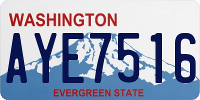 WA license plate AYE7516