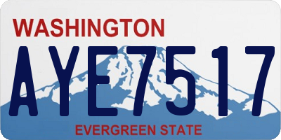 WA license plate AYE7517