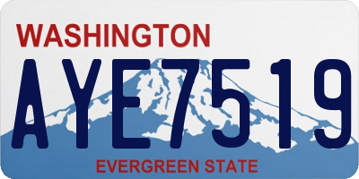 WA license plate AYE7519