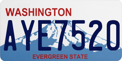 WA license plate AYE7520