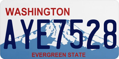 WA license plate AYE7528
