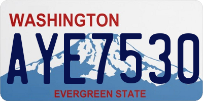 WA license plate AYE7530