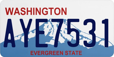 WA license plate AYE7531