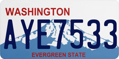 WA license plate AYE7533