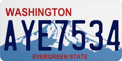 WA license plate AYE7534