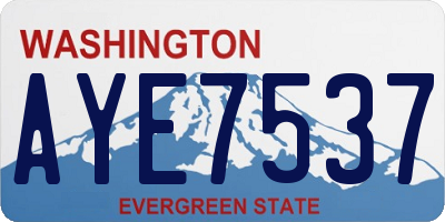 WA license plate AYE7537