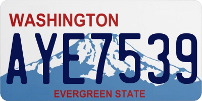 WA license plate AYE7539