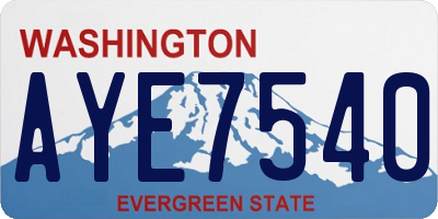 WA license plate AYE7540