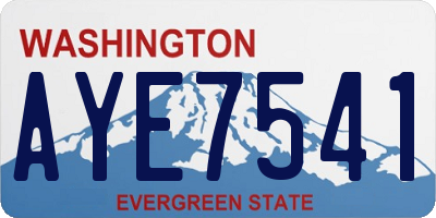 WA license plate AYE7541