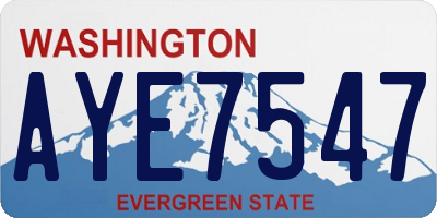 WA license plate AYE7547