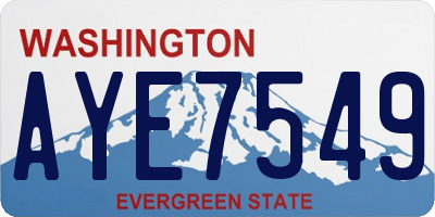 WA license plate AYE7549