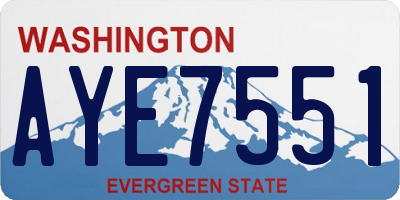 WA license plate AYE7551