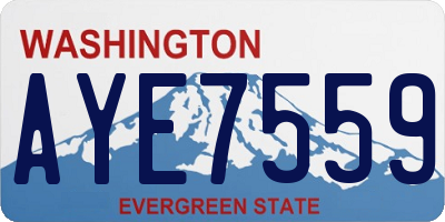 WA license plate AYE7559