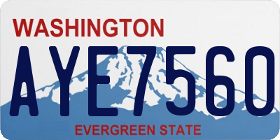 WA license plate AYE7560