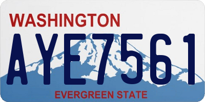 WA license plate AYE7561