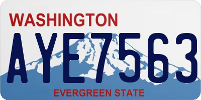 WA license plate AYE7563