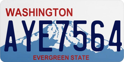 WA license plate AYE7564