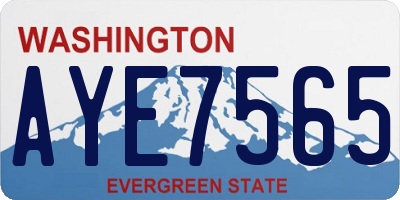 WA license plate AYE7565