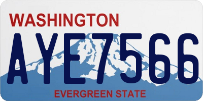 WA license plate AYE7566