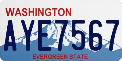 WA license plate AYE7567