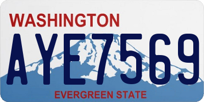 WA license plate AYE7569