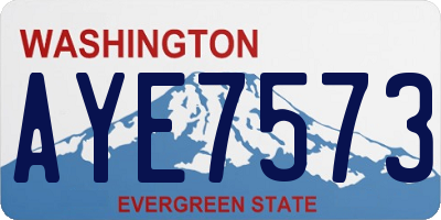 WA license plate AYE7573