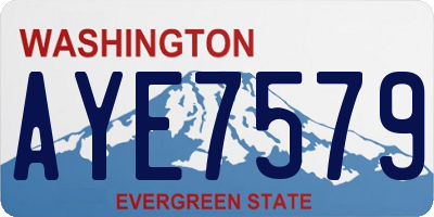 WA license plate AYE7579