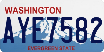 WA license plate AYE7582