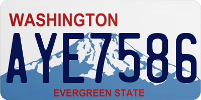 WA license plate AYE7586