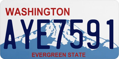 WA license plate AYE7591