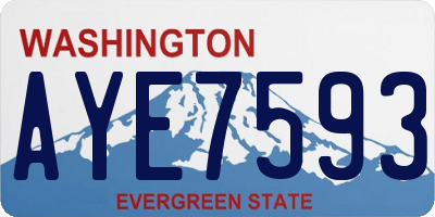 WA license plate AYE7593