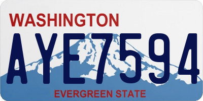 WA license plate AYE7594