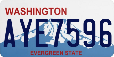 WA license plate AYE7596