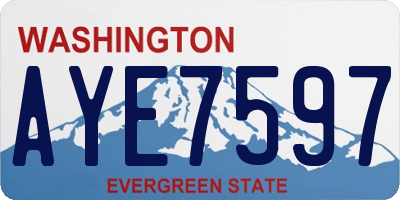 WA license plate AYE7597
