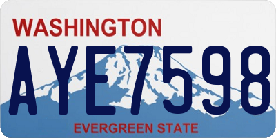 WA license plate AYE7598