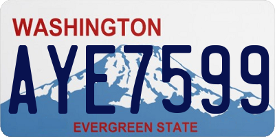 WA license plate AYE7599