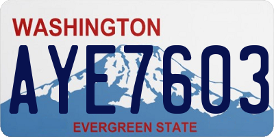 WA license plate AYE7603