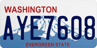 WA license plate AYE7608